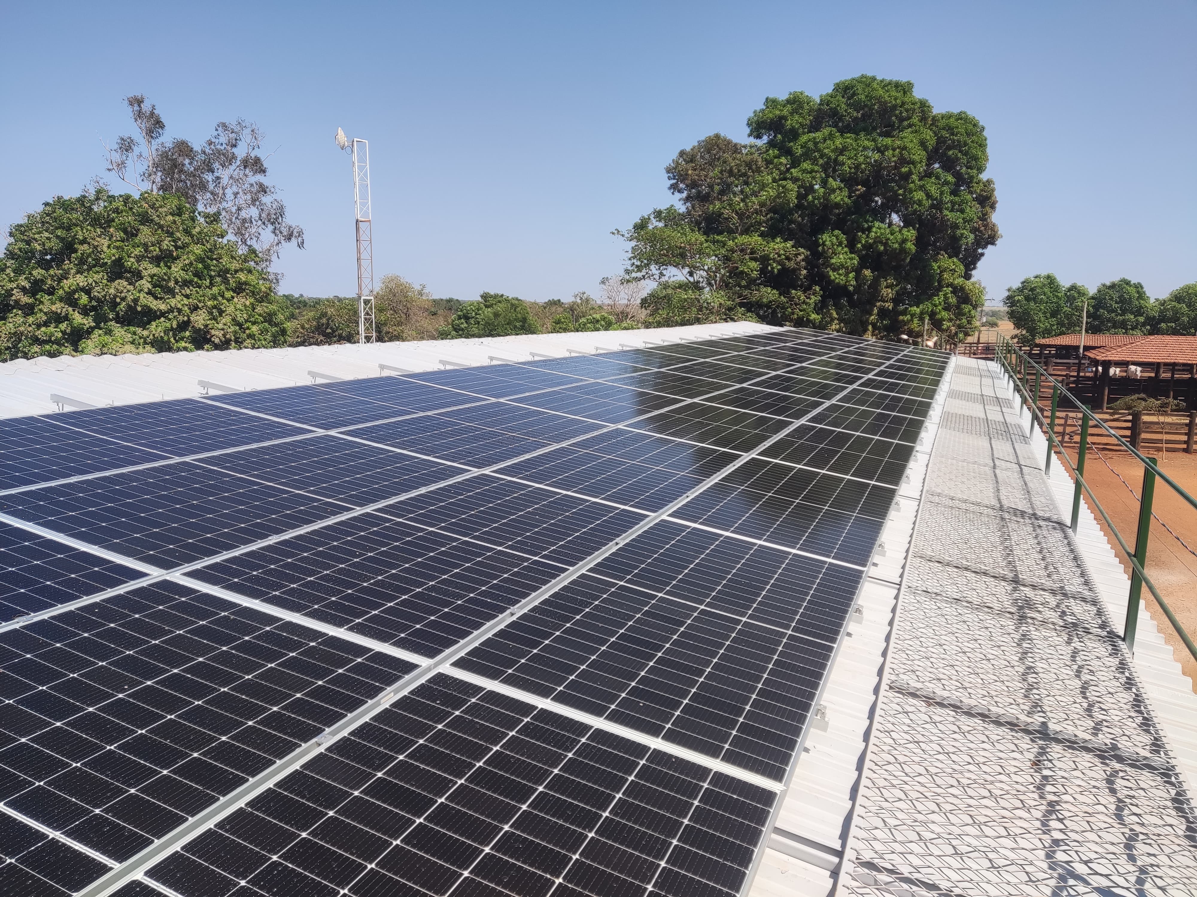 WhatsApp Image 2024-09-21 at 11.21.47