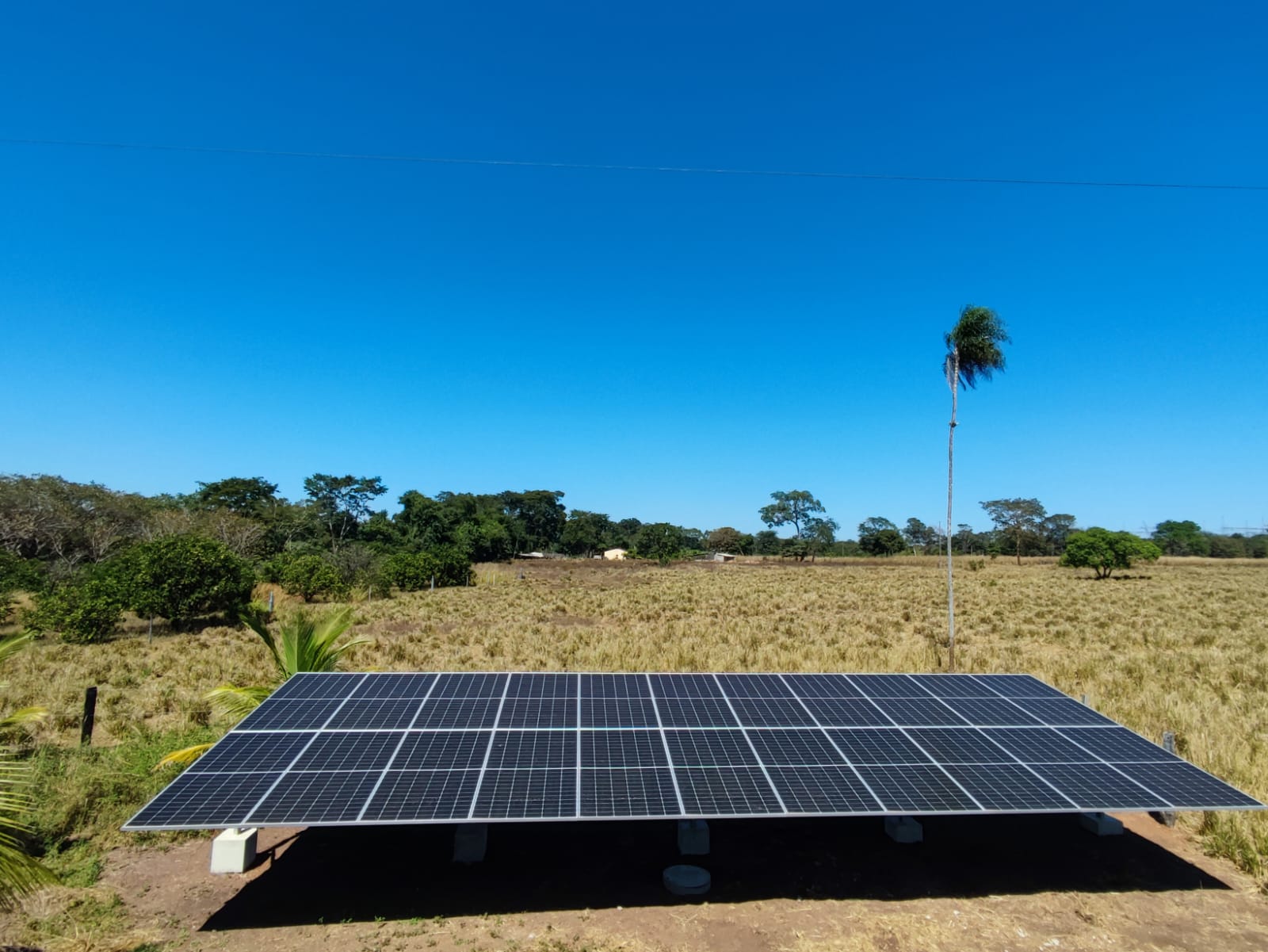 WhatsApp Image 2023-06-03 at 14.12.21 (3)