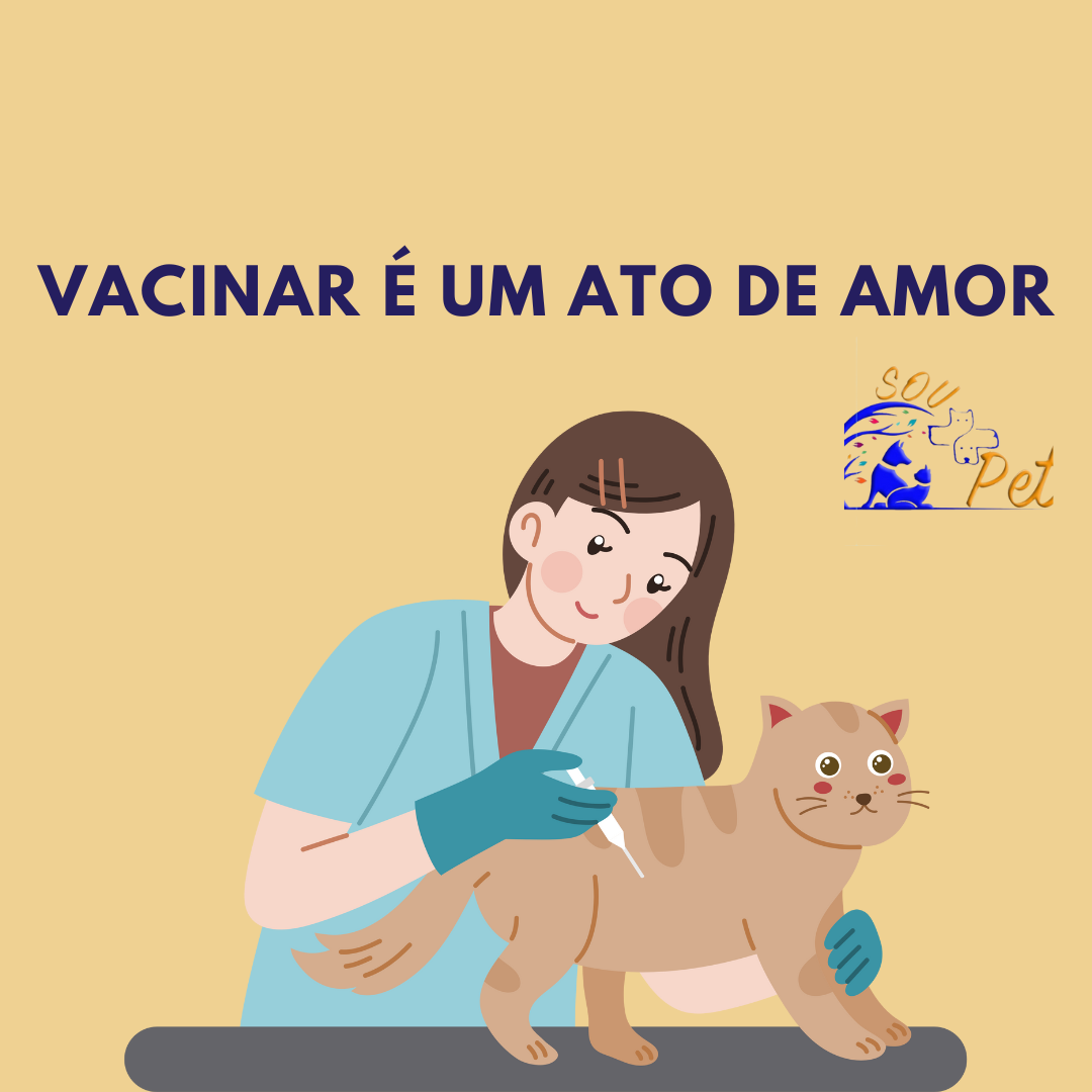 Posts, logos e produtos  - 2024-11-12T091923.261