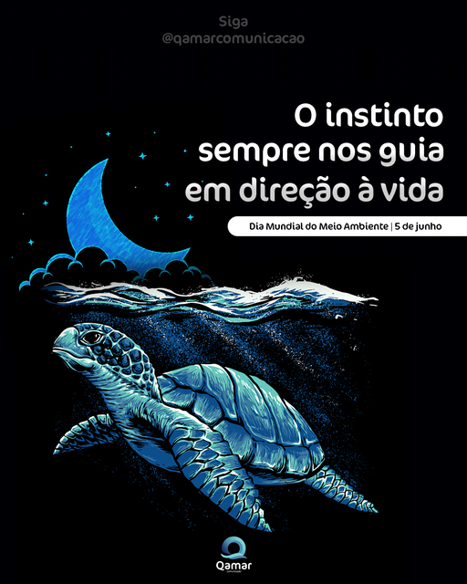 196106583_314620476886503_1902527932176517483_n