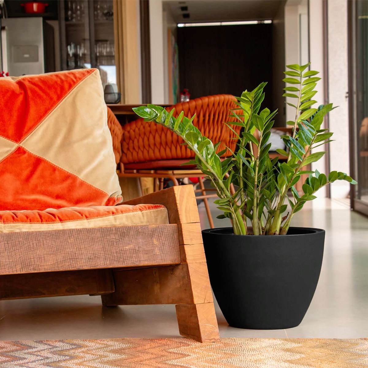 WhatsApp Image 2025-08-22 at 16.46.12