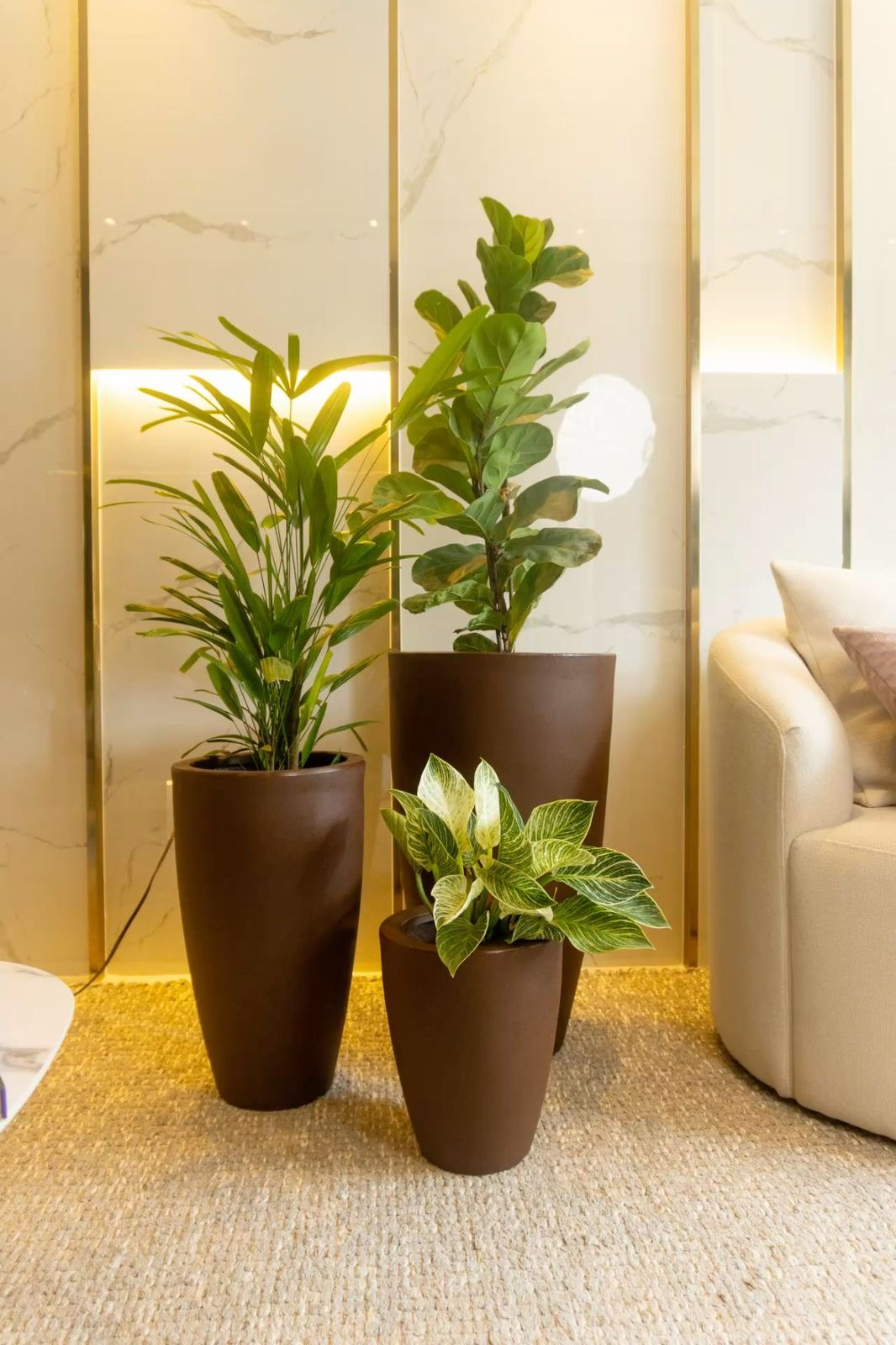 WhatsApp Image 2025-08-22 at 16.46.11