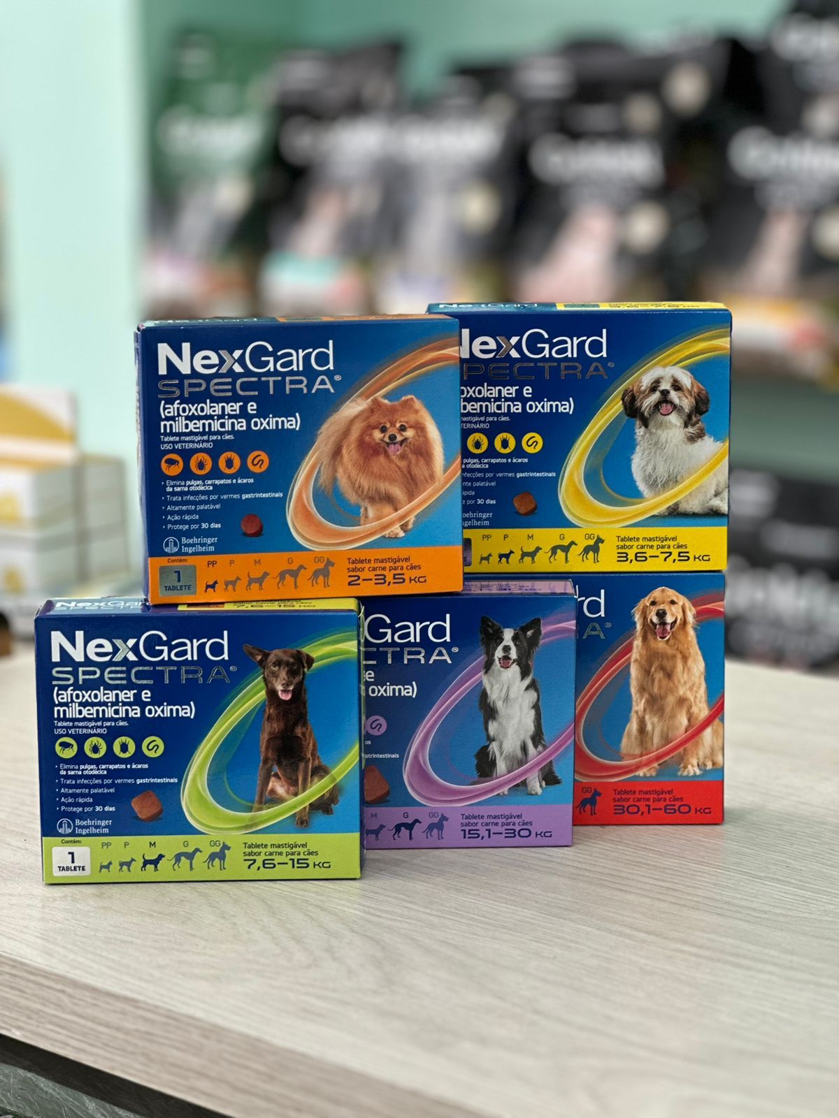 WhatsApp Image 2023-06-22 at 13.51.16 (3)