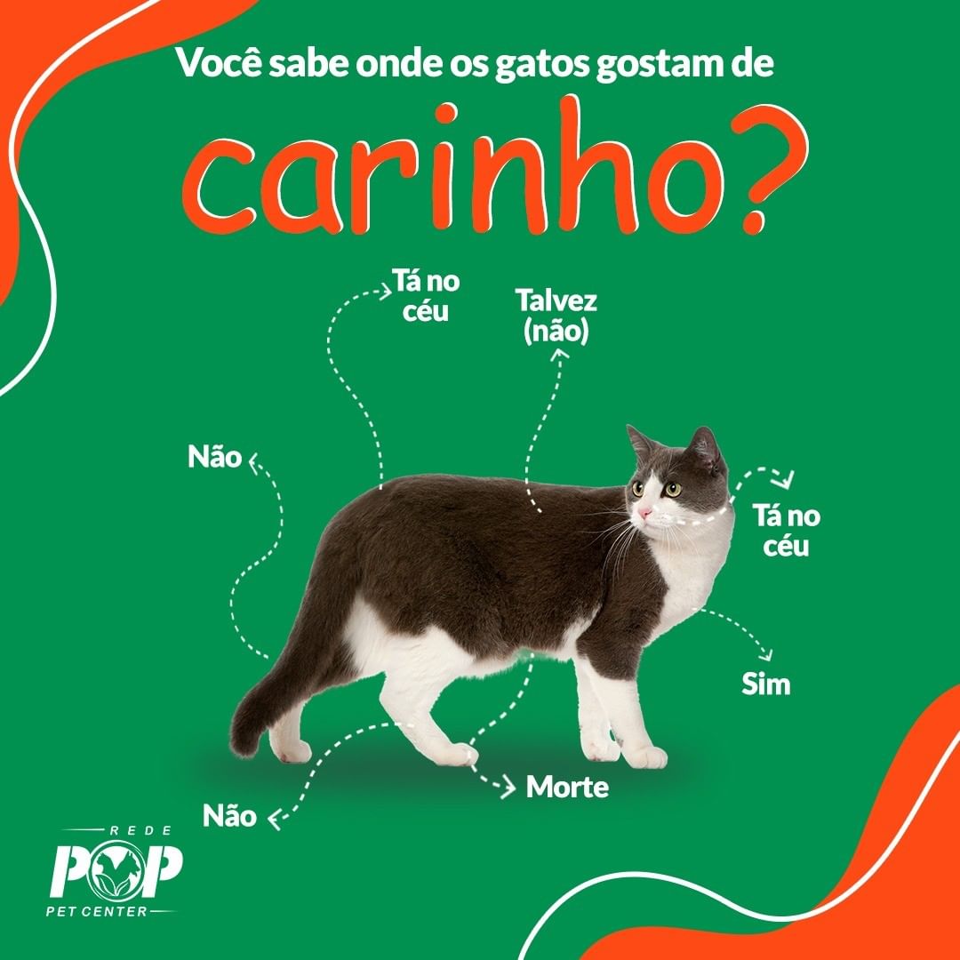 348483242_792853795478590_8612195675719086875_n