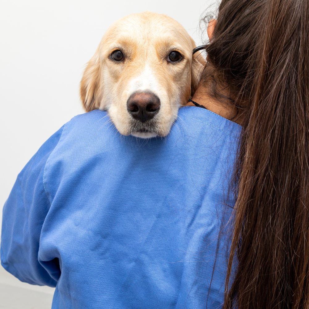 Capa - Post GMB Plus (85)