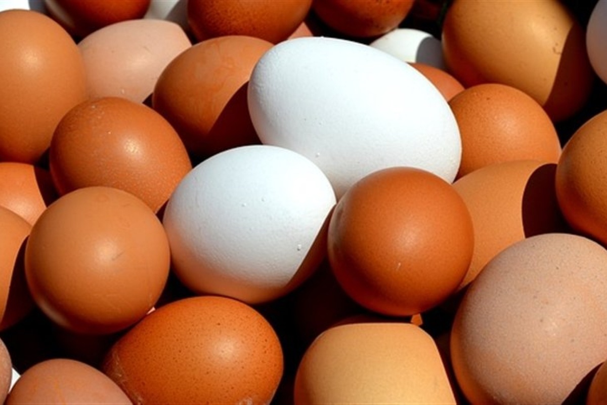 33f430c0c10c470f9b69f05d25388dc2_1200x800