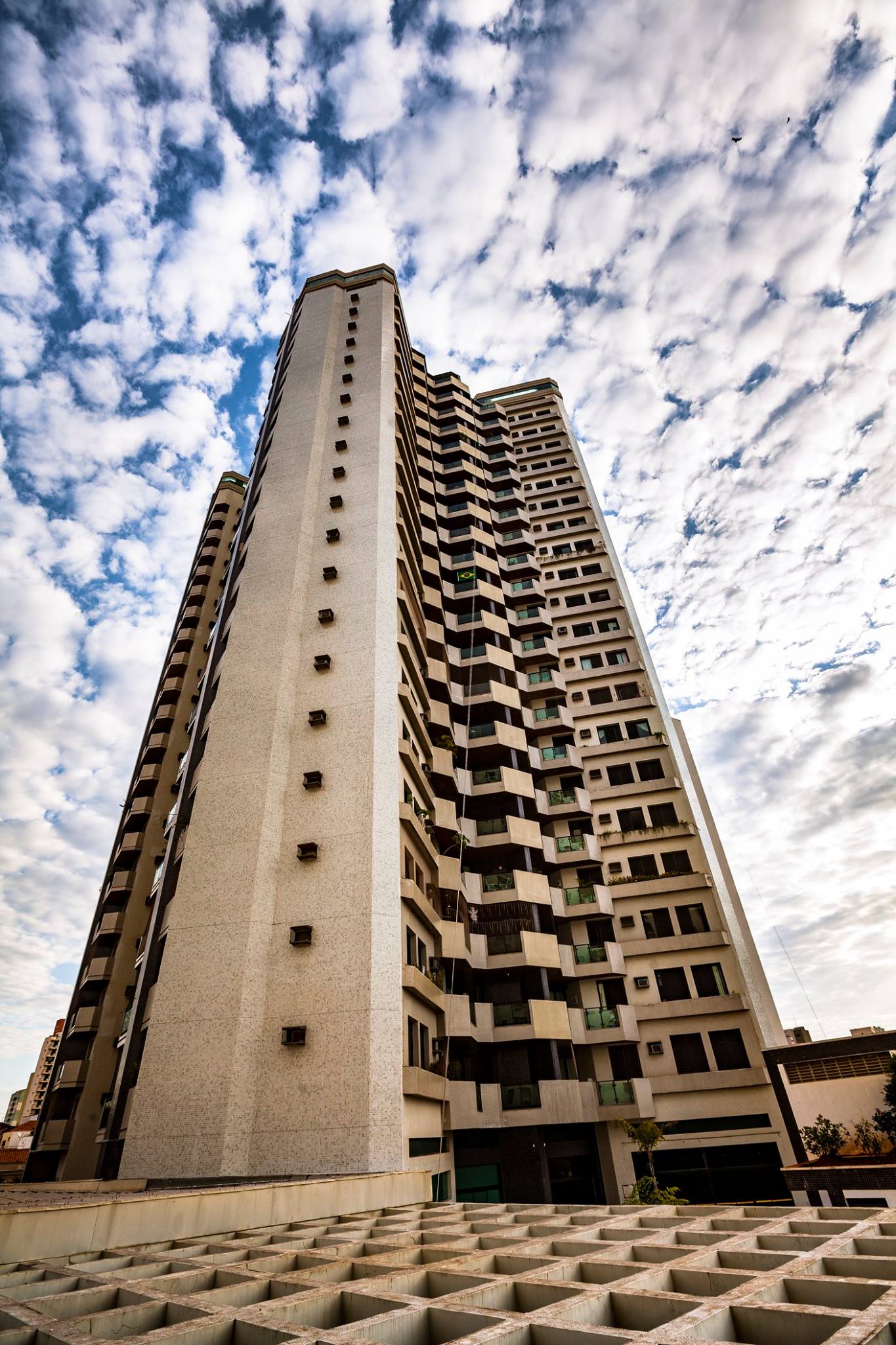 41575203_2338539189495638_4225193250174009344_n