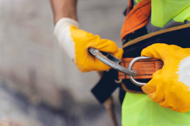 istockphoto-1251201325-612x612