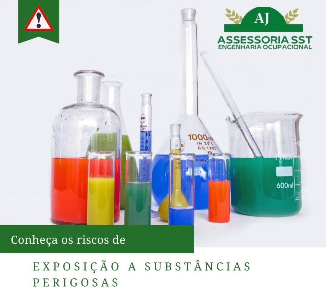 434100013_362545113431747_3056863644739739497_n