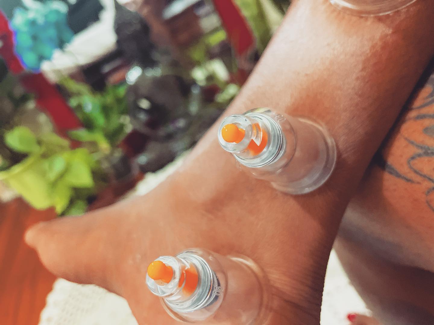 319830316_147887438036171_1153009369783723697_n