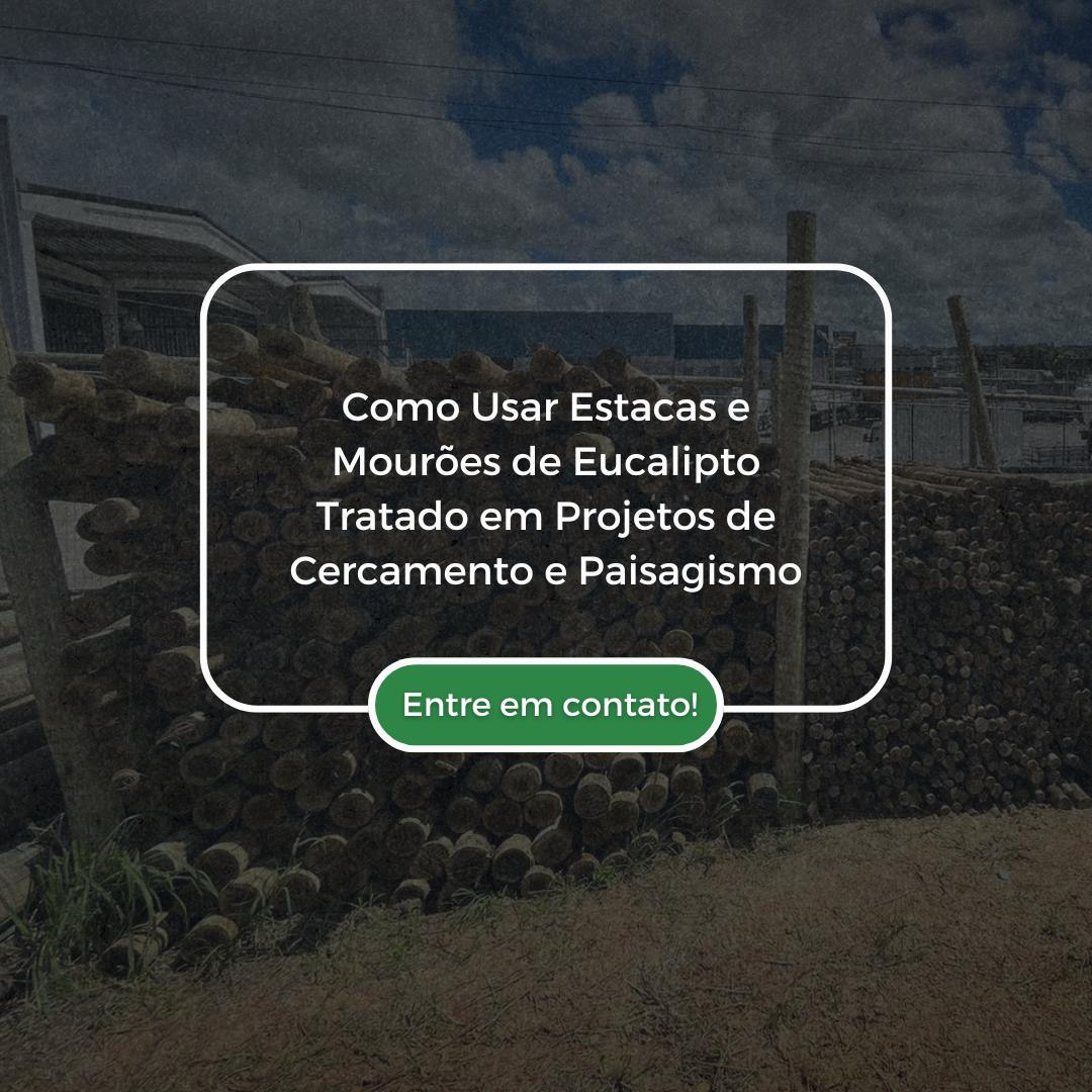 Como os Espelhos Podem Transformar Seu Espaço Dicas de Estilo e Funcionalidade (8)