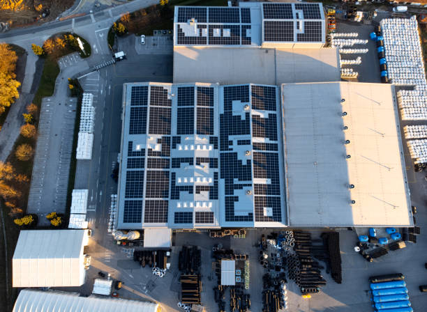 istockphoto-1450384928-612x612