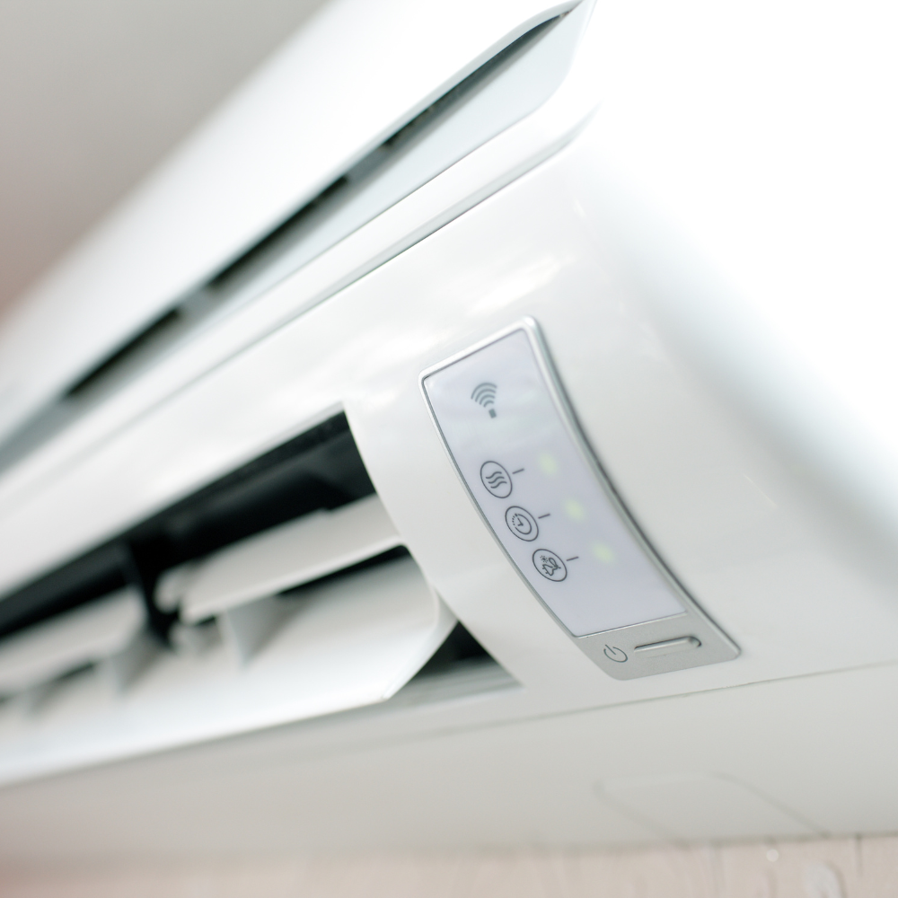 Capa - Post GMB Plus (91)