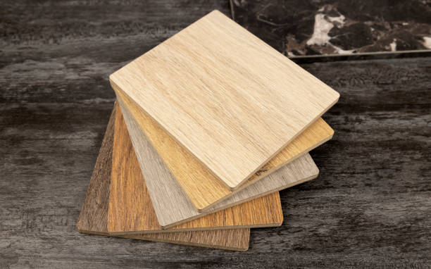 istockphoto-2123505092-612x612