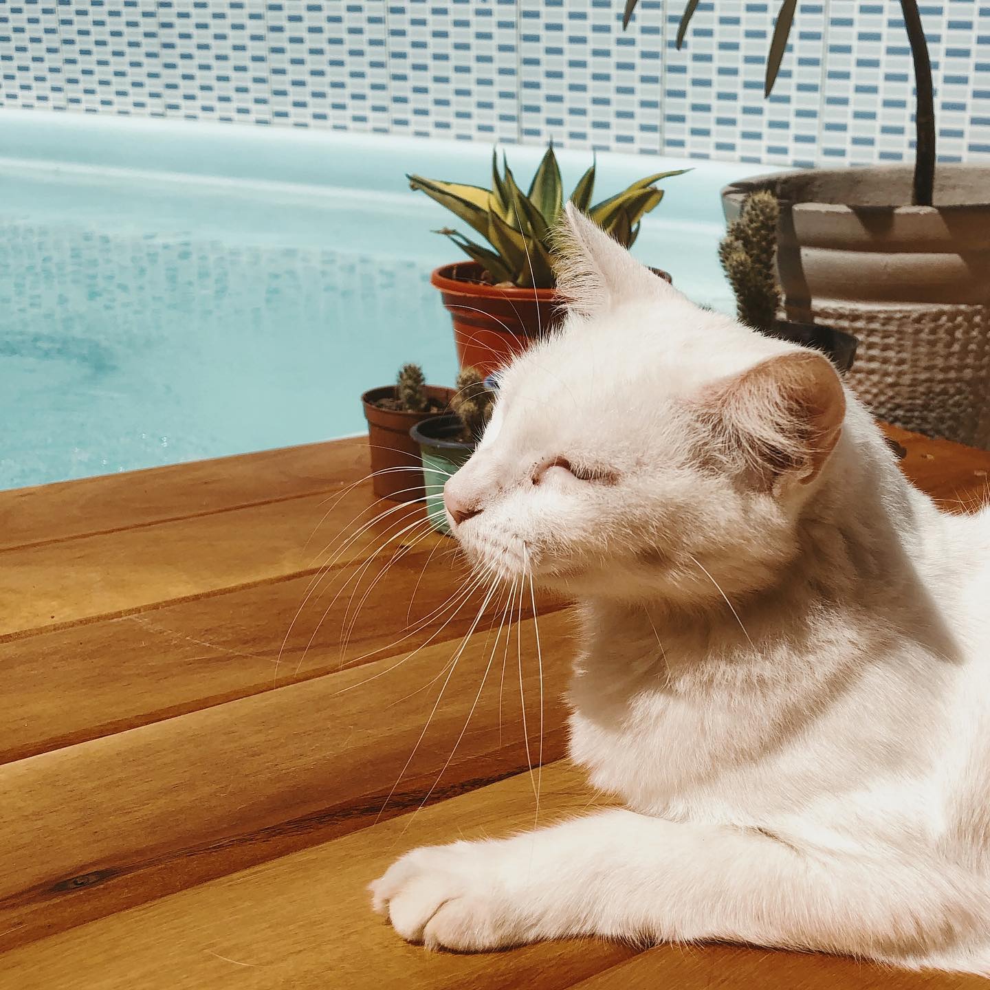 gridmaplanejados_109947927_3177261132308991_4038115784168129054_n