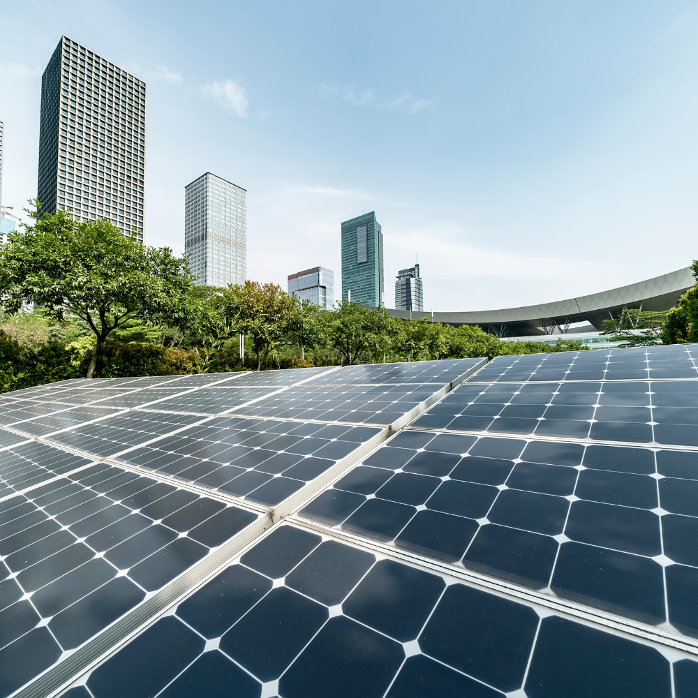 Capa - Post GMB Plus (46)