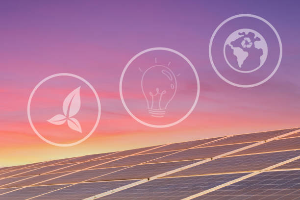 istockphoto-1330022893-612x612