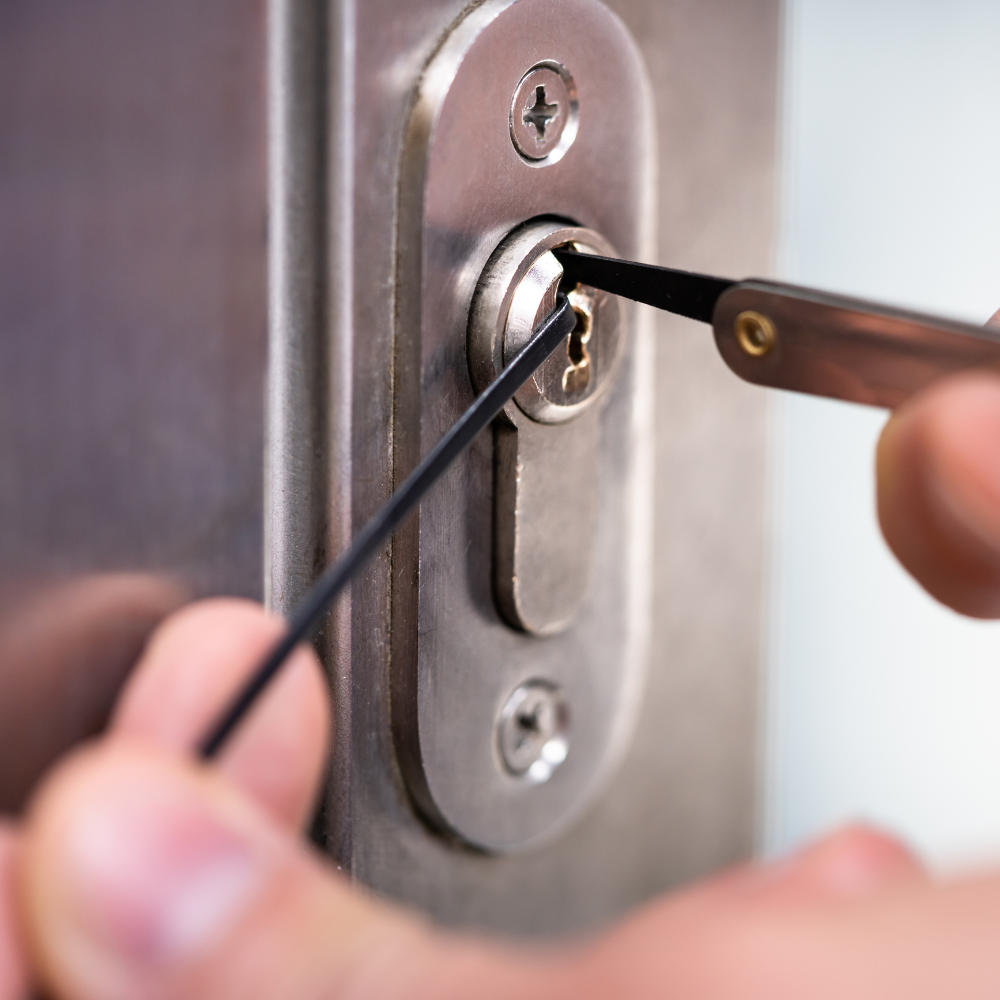 Capa - Post GMB Plus (17)