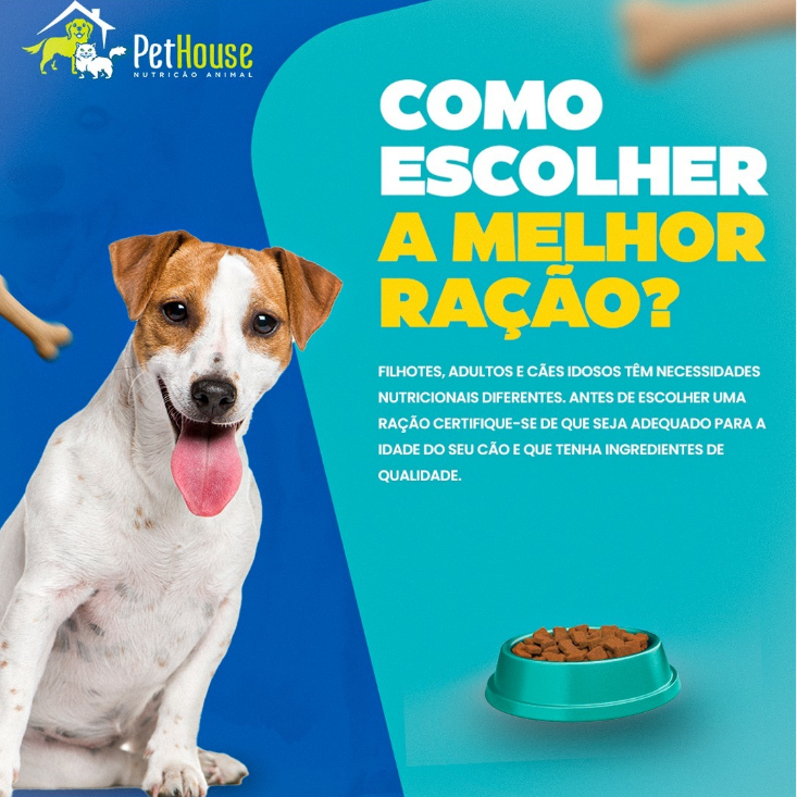 como escolher a melhor ração