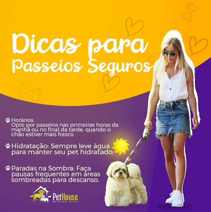 dicas para passeios seguros