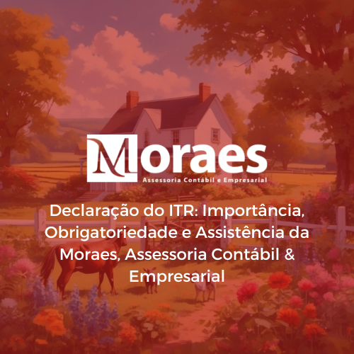Moraes Assessoria Contábil & Empresarial (4)