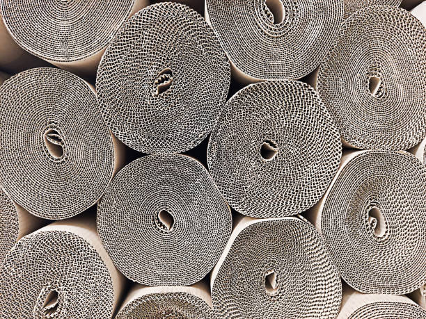 istockphoto-1394400293-612x612