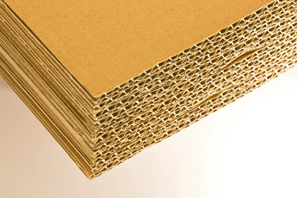 istockphoto-1370711395-612x612