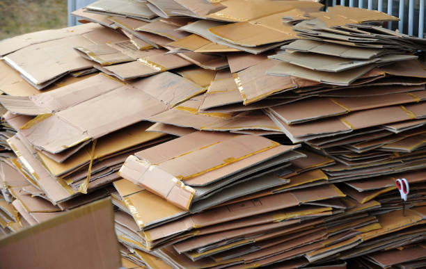 istockphoto-1126062360-612x612