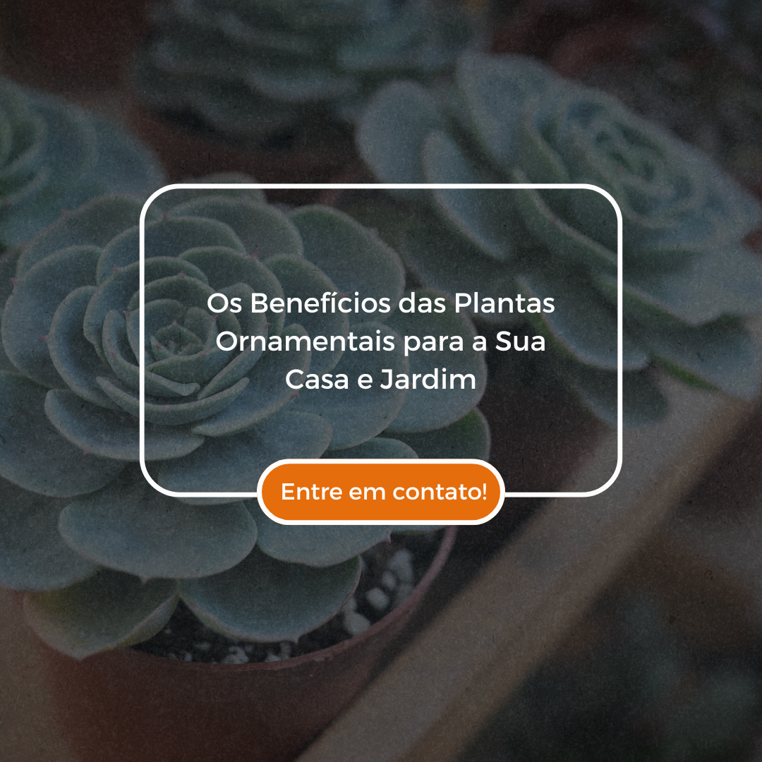 Importância da Vacinação Protegendo sua Família contra Doenças Preveníveis (4)