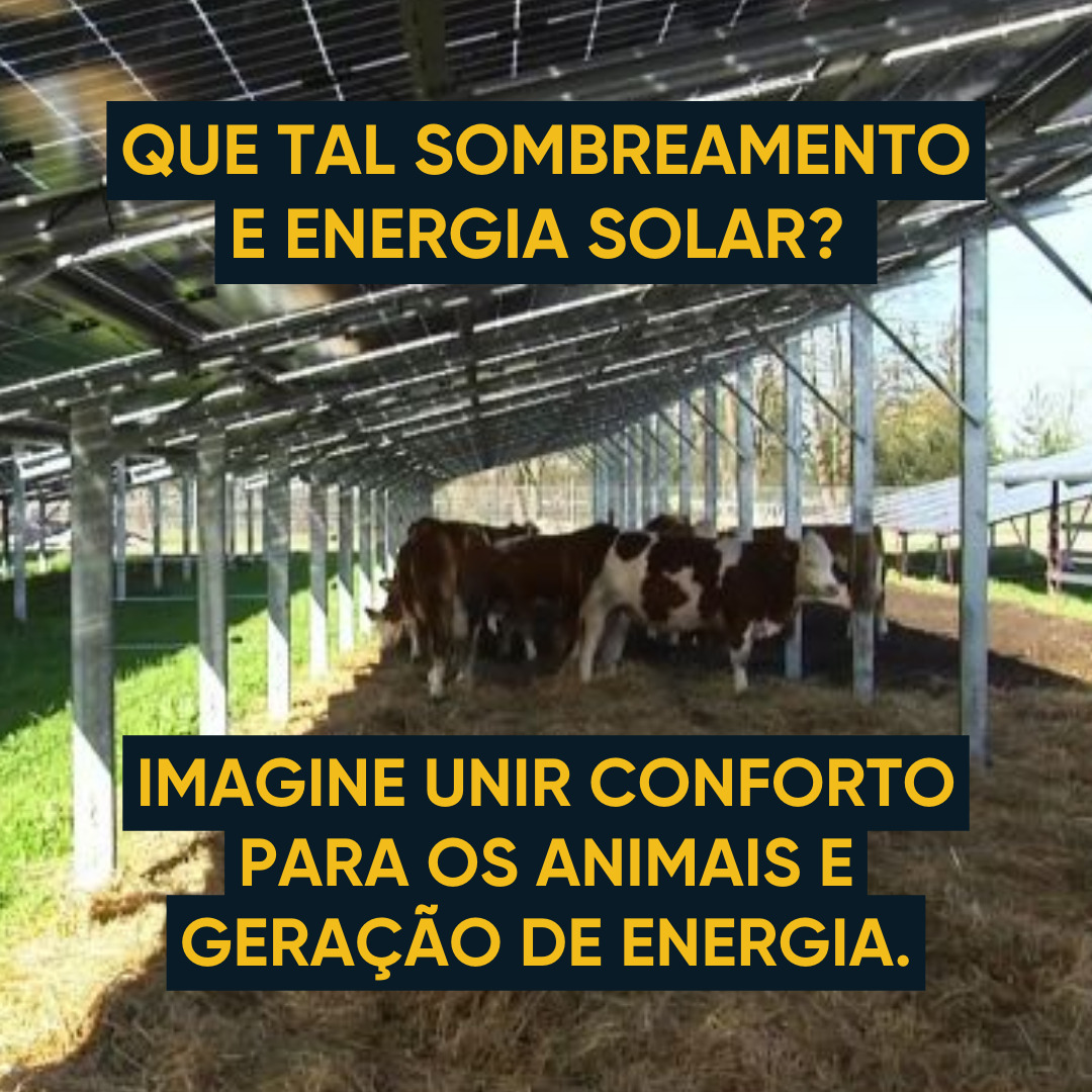 problemas com o calor