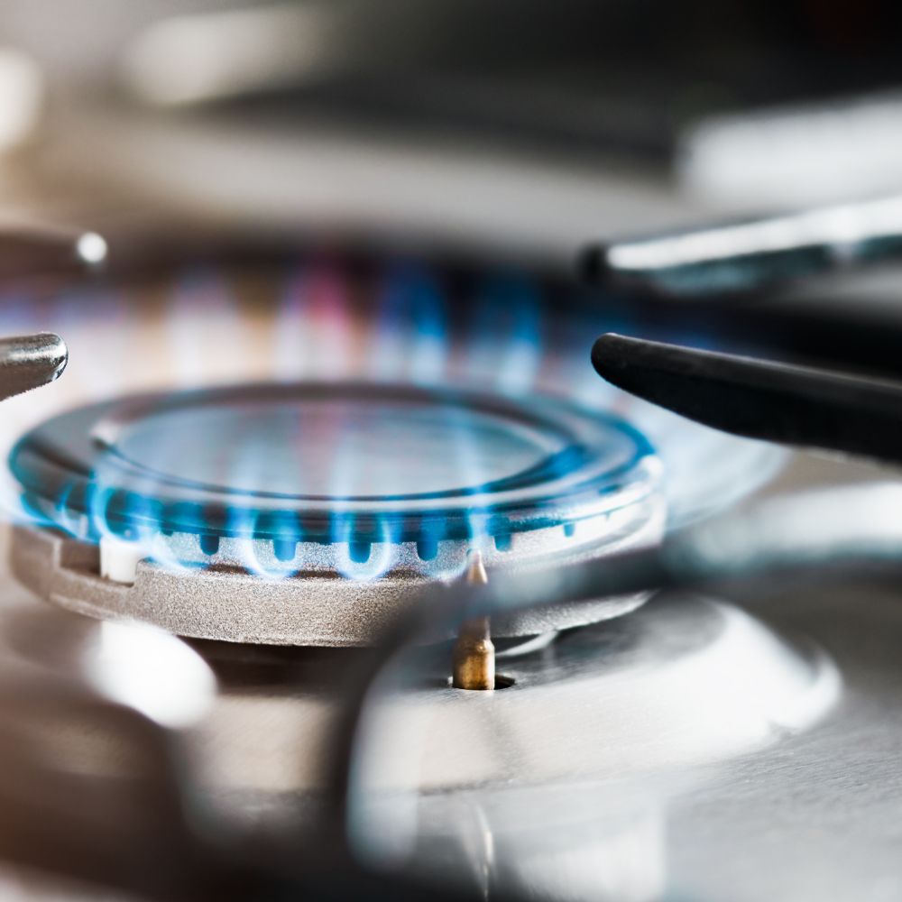 Capa - Post GMB Plus (12)