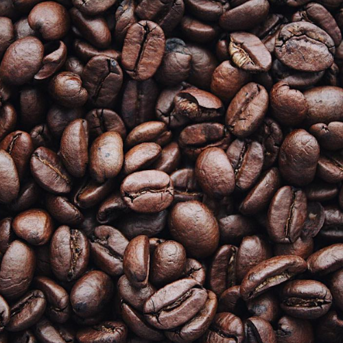 Foto Produto e Logo (64)