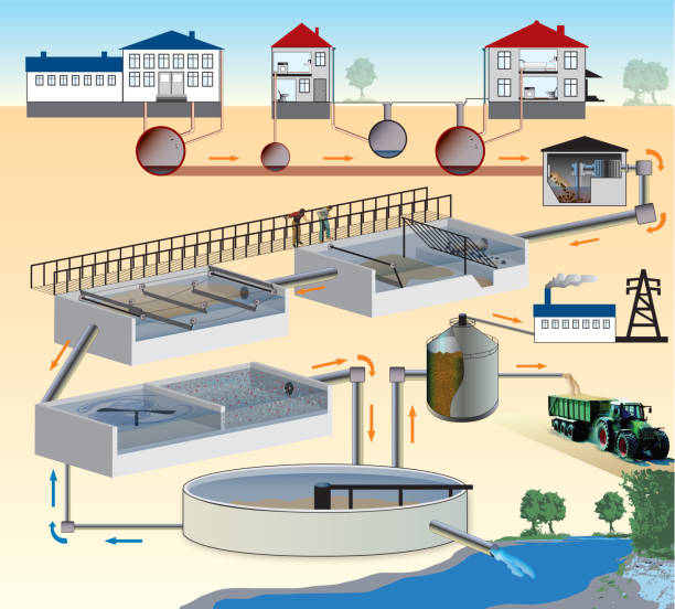 istockphoto-1136185495-612x612