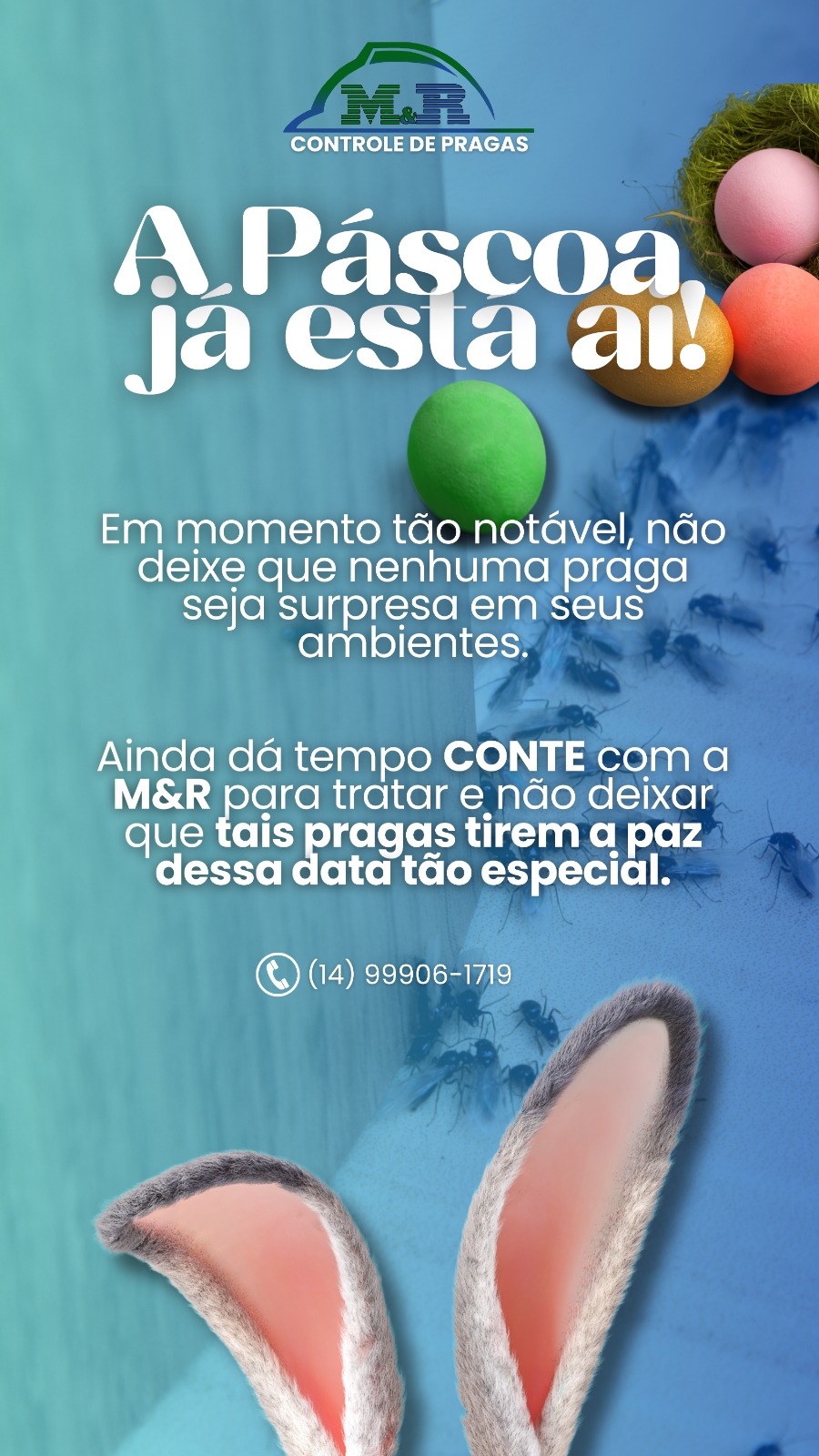 A Páscoa já está ai!
