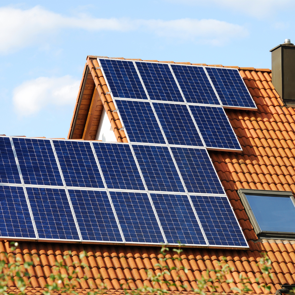 Capa - Post GMB Plus (100)